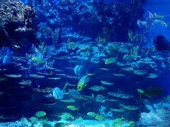 -海合安武汉极地海洋公园