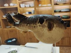 -天正河鲀·河豚亭(大连店)