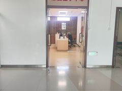 -星光岛