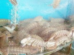 -沿海渔家院海鲜烧烤·东北菜(东戴河店)