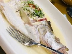 -同里湖大饭店-怡景轩中餐厅(同里古镇店)