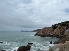 -广东惠东海龟国家级自然保护区