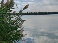 -漕湖湿地公园