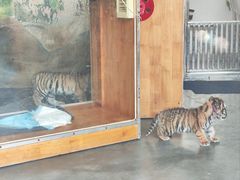 -大连森林动物园