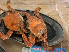 -板桥海鲜广场(文明东店)