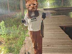 -新怡路亚垂钓园