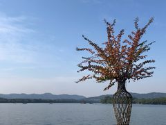-浙江西子宾馆·牡丹厅