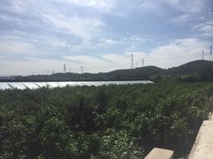 -将军石酒店温泉