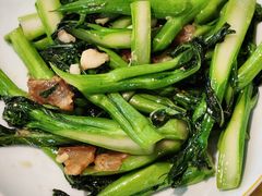 -新高记·粤菜·湛江鸡(南头古城店)