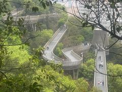 -福道