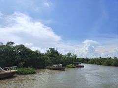 -东寨港红树林旅游区