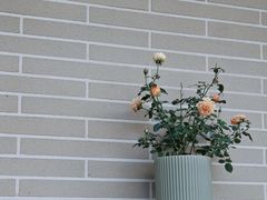 -Beans Solo豆号咖啡(百家湖花园店)