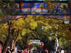 -北京国子监胡同