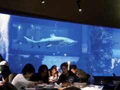 -鲨鱼餐厅.海景川粤餐厅(重庆天地店)