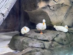 -海合安青岛极地海洋公园