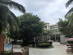 -三亚海棠湾喜来登度假酒店