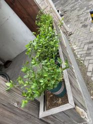 -香秀空间科技抗衰·美容中心