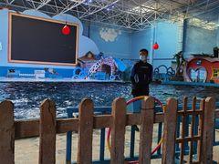 -蓬莱欧乐堡海洋极地世界