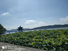 -满记甜品(湖滨店)
