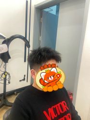 -YESIDO椰岛造型