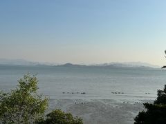 -深圳湾公园(南山区)