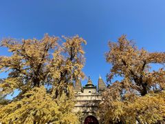 -北京石刻艺术博物馆(五塔寺)