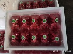 -菜园坝水果市场