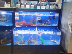水产区-盒马鲜生(皇庭广场店)