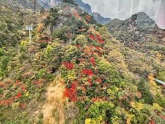 -秦岭天竺山景区