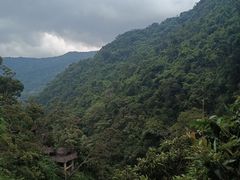 -海南热带雨林国家公园吊罗山景区