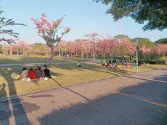-风云岭森林公园