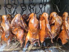 -宋柏树北京果木烤鸭(安东卫店)