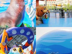 -海合安天津极地海洋公园