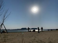 -金沙湖旅游度假区