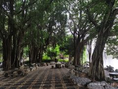 -西湖公园(鼓楼区)