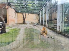 -柳州市动物园