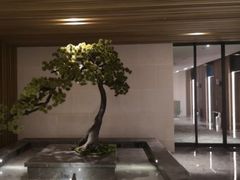 -华侨城嘉途酒店·屋顶阳光餐厅