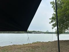 -长广溪湿地公园