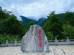 -牛背梁国家森林公园