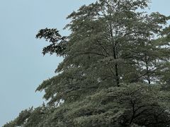 -珠海长隆海洋王国