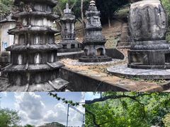 -老虎沟生态农场