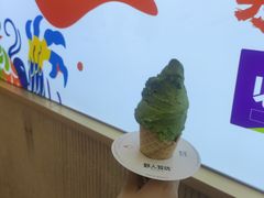 -野人先生现做冰淇淋(西安赛格店)