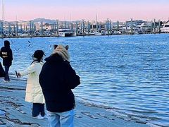 -巧克力渔家.小船海鲜胶东菜(万平口店)