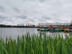 -上海长兴岛郊野公园