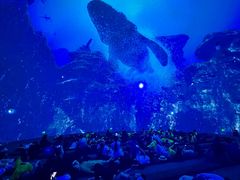 -海合安成都极地海洋公园