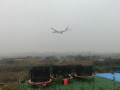 -空港花田景区