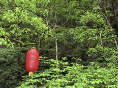 -石台牯牛降景区