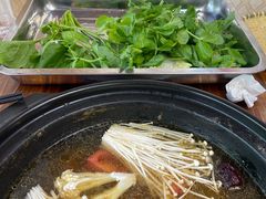 -金鼎雪山牦牛杂火锅(理县总店)