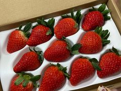 -西郊国际农产品交易中心
