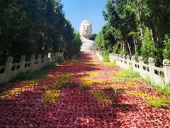 -蒙山大佛景区